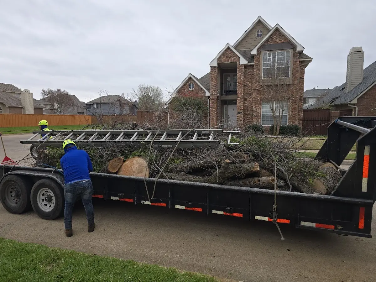 Expert Tree Fertilization with proper safety equipment in Graysville